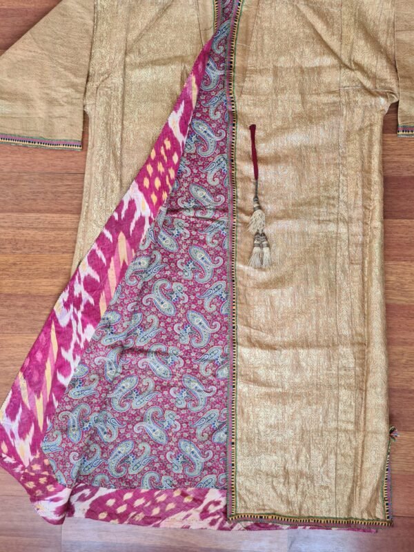 Royal Bukhara Chapan with Gold-Polished Silver Thread - Image 3