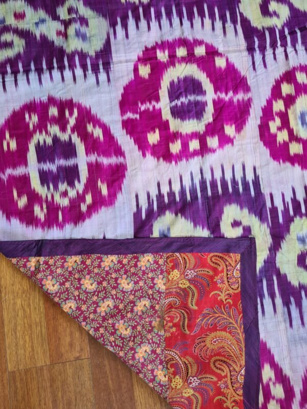 Bukhara Silk Ikat from 1800s - Image 4